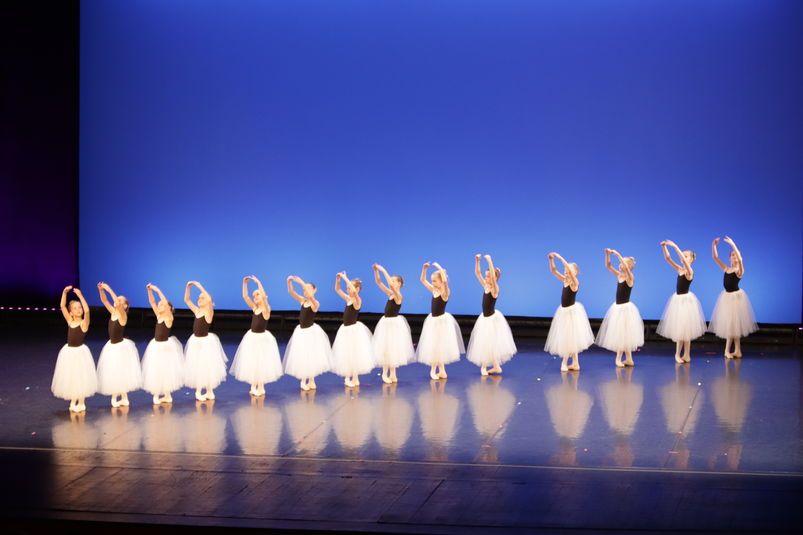 Profesjonalny Program Nauki Baletu - Level 1